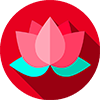 Flores Bach Flores Bach