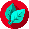 Naturopata Naturopata